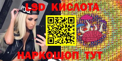 гидропоника Новокубанск