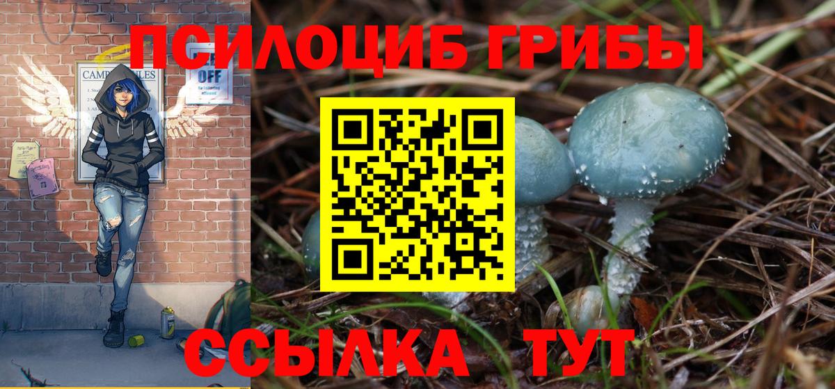 Галлюциногенные грибы Psilocybe  Галлюциногенные грибы MAGIC MUSHROOMS  Вход с VPN  Ставрополь 