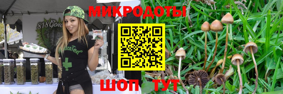 Галлюциногенные грибы MAGIC MUSHROOMS Ставрополь
